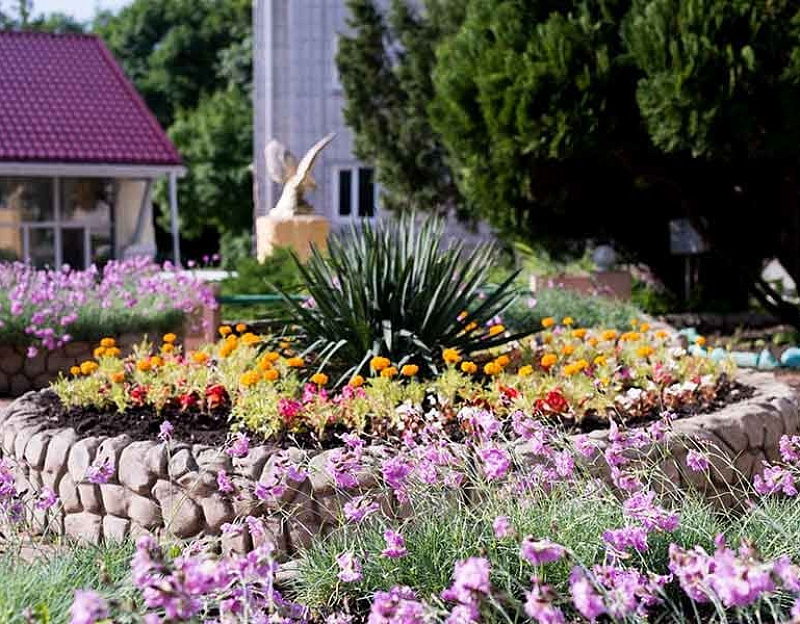 Санаторий «Долина Нарзанов» Железноводск, территория
